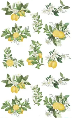 Papel de Arroz Limonero PapersForYou 54x33cm