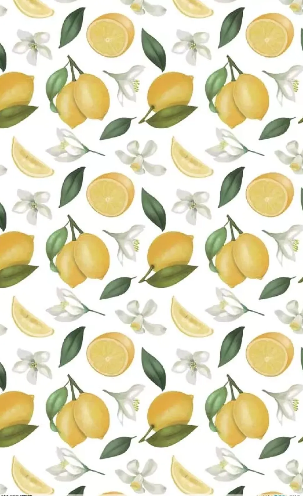 Papel de Arroz Limones PapersForYou 54x33cm