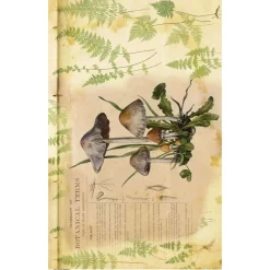 Papel de Arroz Mushrooms IV Botanical Book PapersForYou 54x33cm
