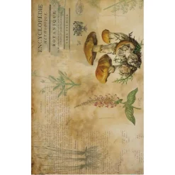 Papel de Arroz Mushrooms III Botanical Book PapersForYou 54x33cm