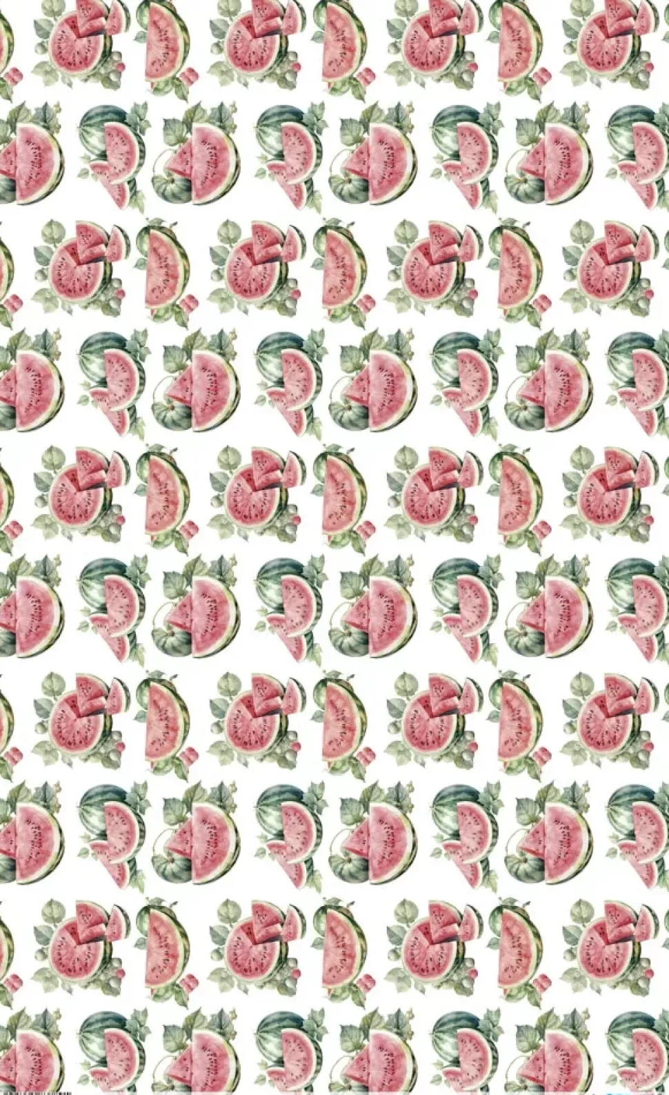 Papel de Arroz Watermelon V Fruits Market PapersForYou 54x33cm