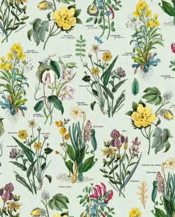 Papel Flora Tassotti