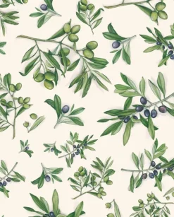 Papel Olivo Tassotti