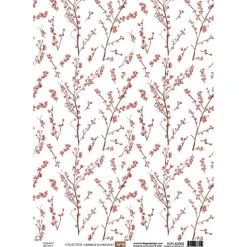 Papel vellum 09 Cannelle & Chocolat Florilèges Design A4