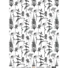 Papel vellum 01 Carnet Nature Florilèges Design A4