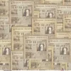 Papel vellum Periódicos Wizarding Adventure III PapersForYou 30x31cm