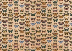 Paper Press Mariposas Traveler Alberto Juárez