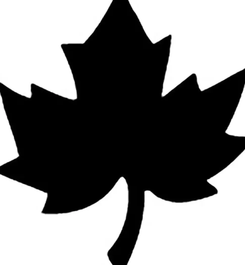 Perforadora Pequeña Hoja Artemio