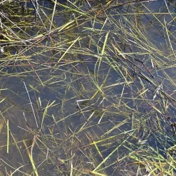 Pintura agua natural AK Interactive 250ml