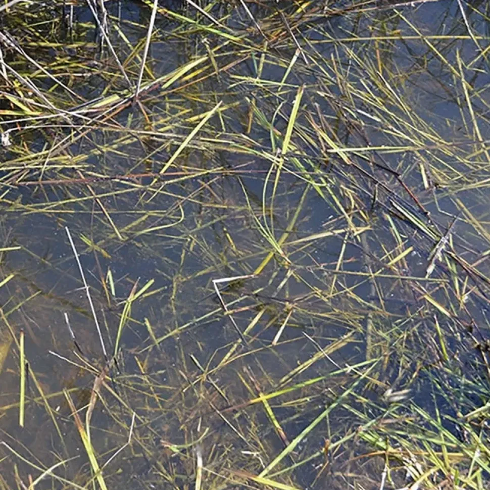 Pintura agua natural AK Interactive 250ml