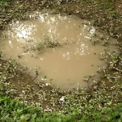 Pintura efecto charcos Diorama AK Interactive 60ml