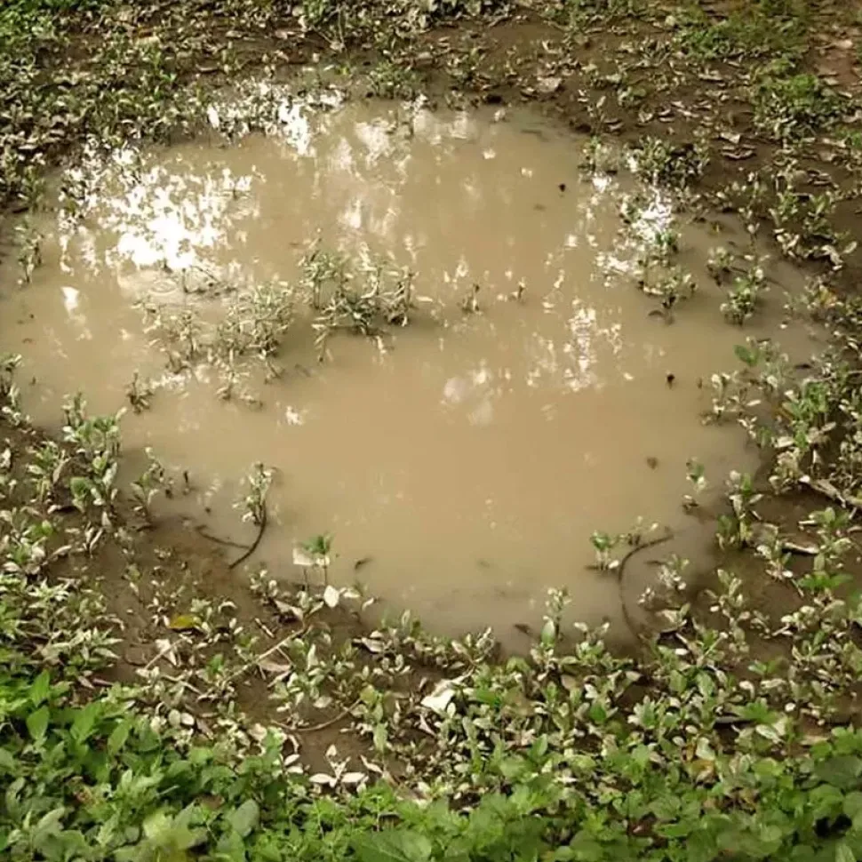 Pintura efecto charcos Diorama AK Interactive 60ml