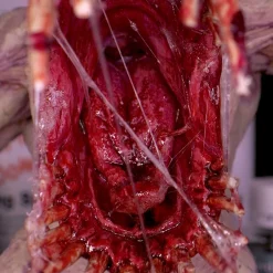 Pintura para modelismo Gore Dirty Down 15ml