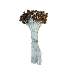 Pistilos de grano marrón