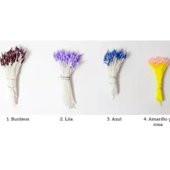 Pistilos en forma de Penacho