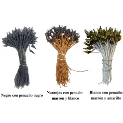 Pistilos en forma de Penacho