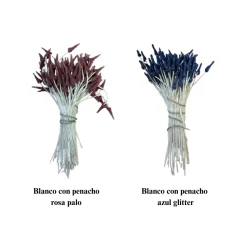 Pistilos en forma de Penacho