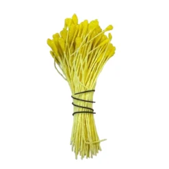 Pistilos irisados planos amarillos