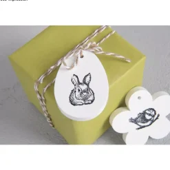 Polvo para Modelado Raysin 200 Rayher 400g