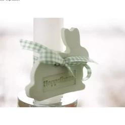 Polvo Para Modelado Raysin 100 Rayher 1Kg