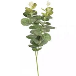 Rama de Eucalipto Artificial Rayher