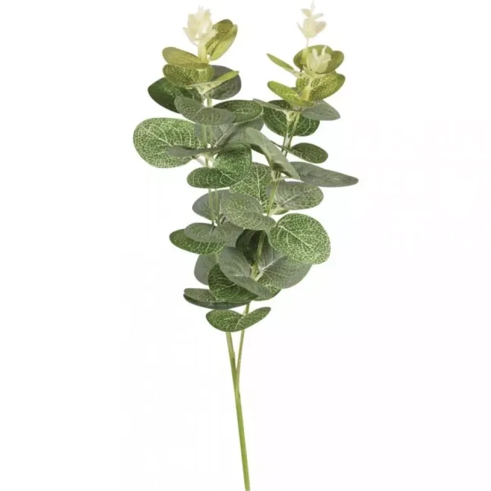 Rama de Eucalipto Artificial Rayher