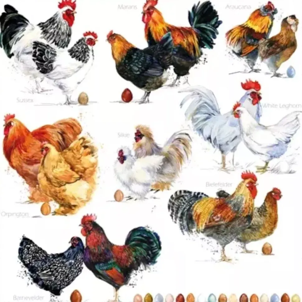 Servilletas de Papel Gallos Jet Papier 33x33cm