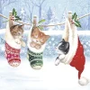 Servilletas Kitten in Winterland 33x33cm