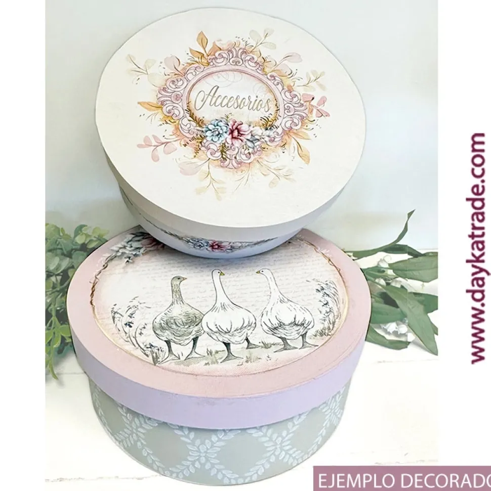 Set 2 Cajas Redondas Dayka