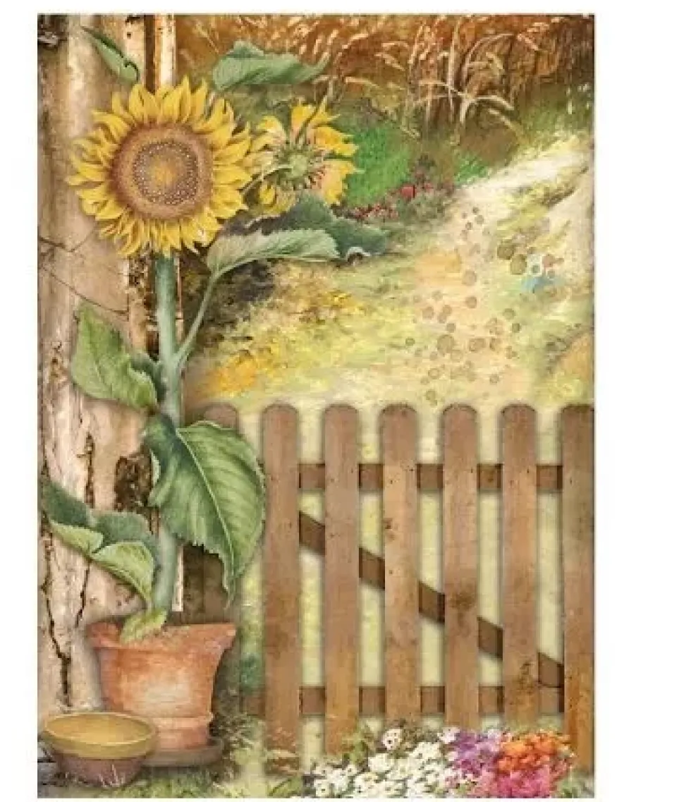Set 8 papeles de arroz Backgrounds Sunflower Art Stamperia 10x15cm