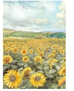 Set 8 papeles de arroz Backgrounds Sunflower Art Stamperia 10x15cm