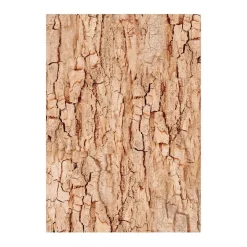 Set 8 papeles de arroz Romantic Woodland Stamperia 10x15cm