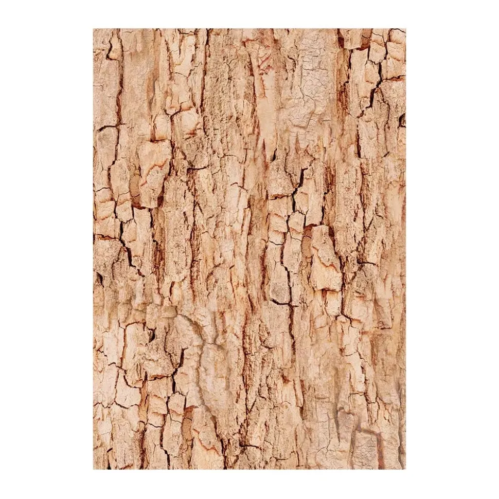 Set 8 papeles de arroz Romantic Woodland Stamperia 10x15cm