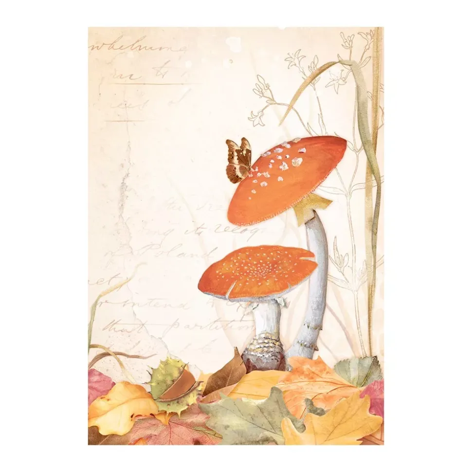 Set 8 papeles de arroz Romantic Woodland Stamperia 10x15cm