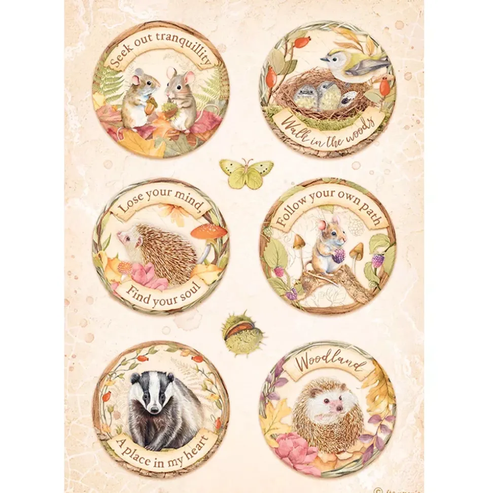Set 6 papeles de arroz Romantic Woodland Stamperia 21x29cm