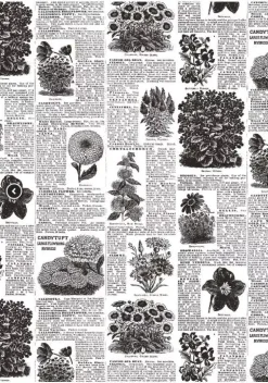 Set 4 papeles para decoupage Collector Diary IV Alberto Juarez A4