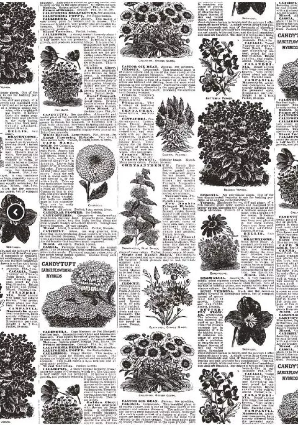 Set 4 papeles para decoupage Collector Diary IV Alberto Juarez A4