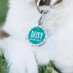 Set 6 Plásticos Mágicos Blanco Silhouette