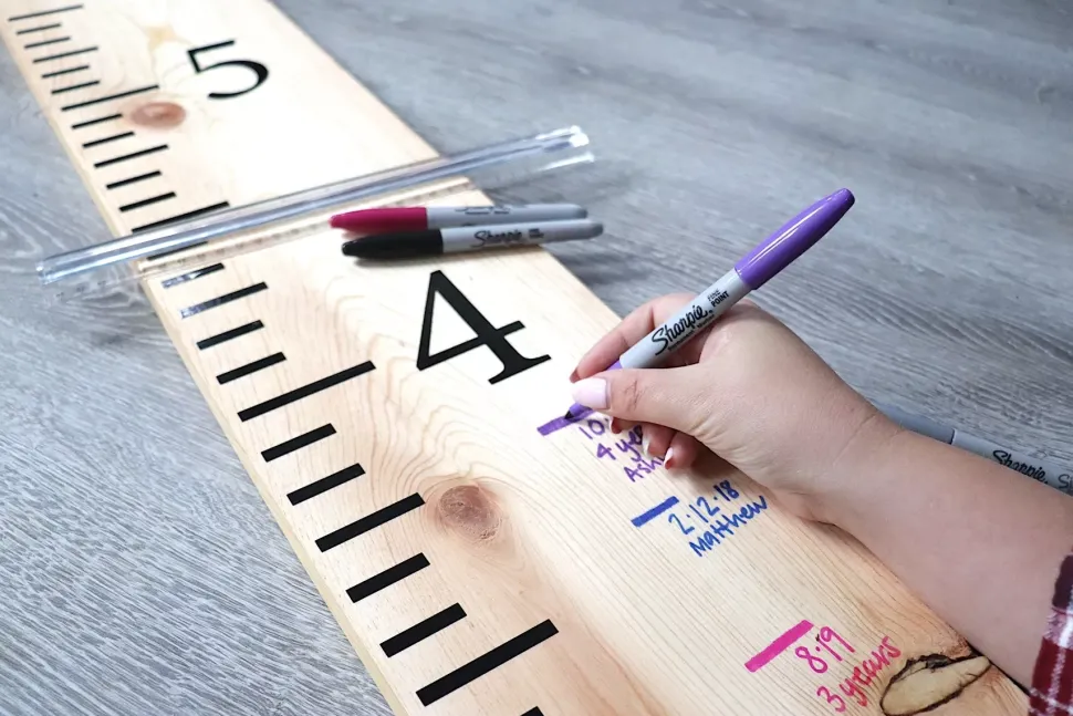 Set 28 Rotuladores Permanentes Punta Fina Sharpie