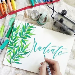 Set 20 Rotuladores Permanentes Edición Especial Sharpie