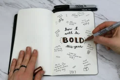 Set 12 Rotuladores Permanentes Punta Fina Negro Sharpie