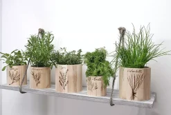 Set de 3 Jarrones de Madera Artemio