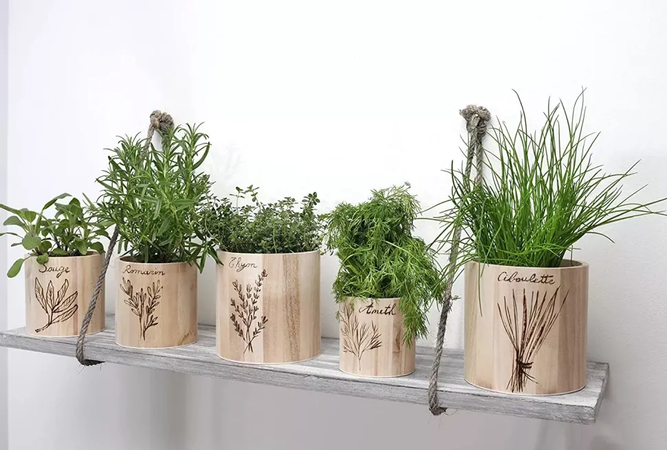 Set de 3 Jarrones de Madera Artemio