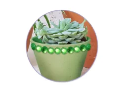 Set de Piedras Preciosas Bold MultiCraft