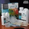 Set resina esmalte Gedeo Pebeo 300ml