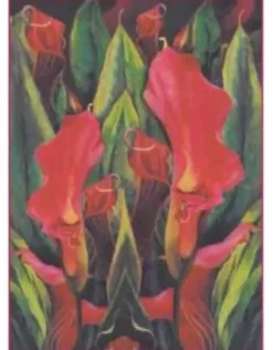 SUPER OFERTA **40%** Papel Clásico para Decoupage Calas Rojas Stamperia