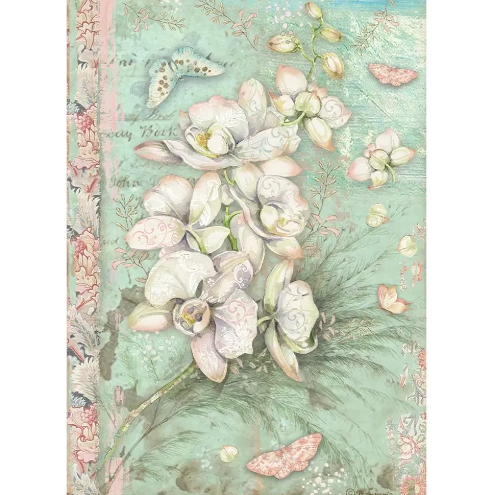 SUPER OFERTA **30%** Papel de arroz Orquídea Blanca Orchids and Cats Stamperia 21x30cm