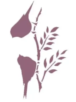 SUPER OFERTA **50%** Plantilla de Stencil V-211 Pájaros 15x21cm Dayka