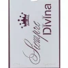 SUPER OFERTA **50%** Plantilla de Stencil V-194 Siempre Divina 15x21cm Dayka