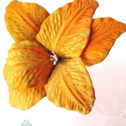 SUPER OFERTA **70%** Thikas Mania. Ideas para decorar con moldes nº2